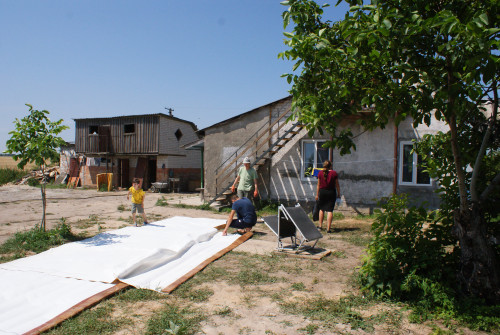 DSC02786.jpg