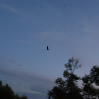 DSC05929