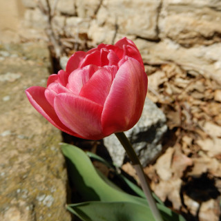 DSCN0363-2