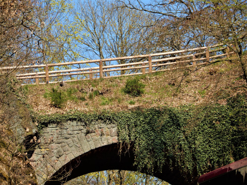 DSCN0412-3.jpg