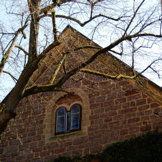 DSCN0429-2