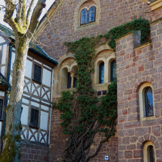 DSCN0430-4