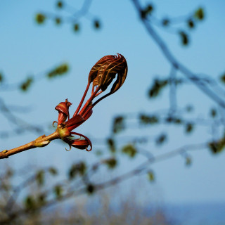 DSCN0532-2