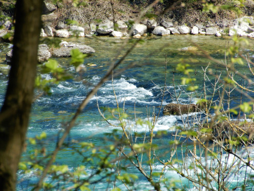 DSCN0570 (2)