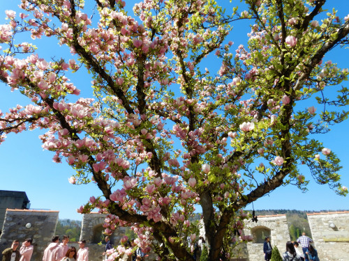 DSCN0571 (2)