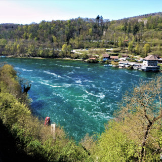 DSCN0578-5