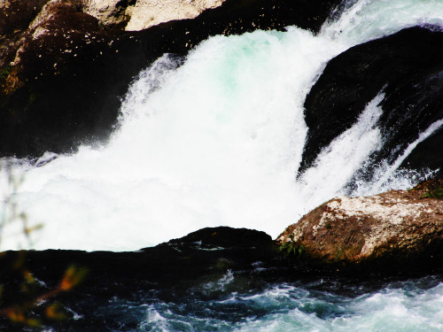 DSCN0597 (2)