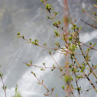 DSCN0599-2