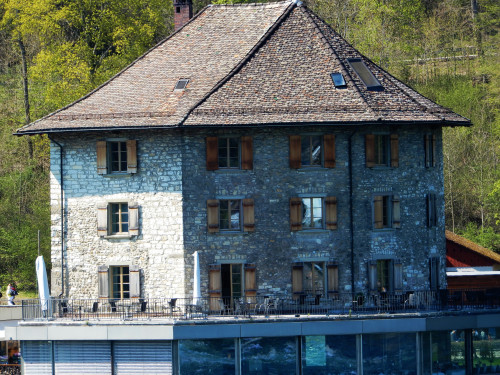 DSCN0682-2.jpg