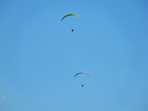 DSCN0830-2.jpg