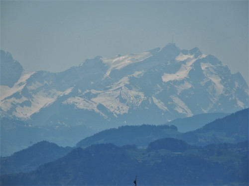DSCN0848-3.jpg