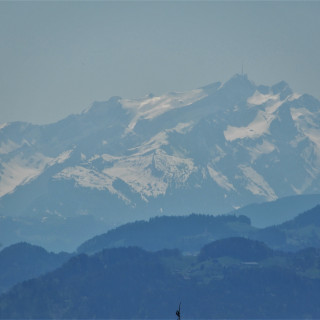DSCN0848-3