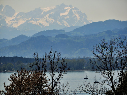 DSCN0850-2.jpg