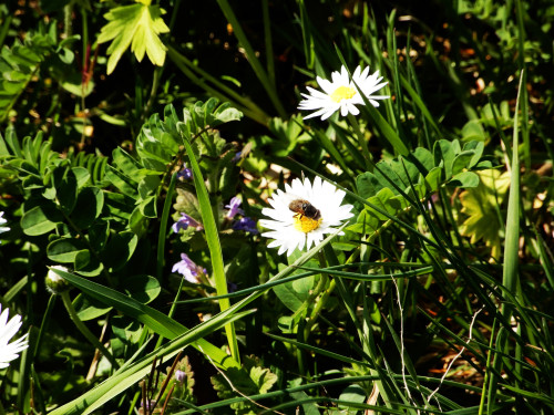 DSCN0853-2.jpg