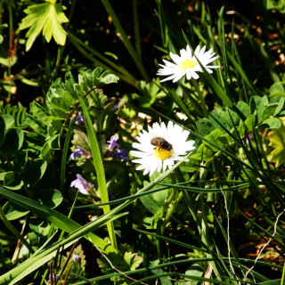 DSCN0853-2