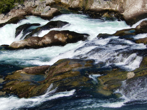 DSCN0615-2.jpg