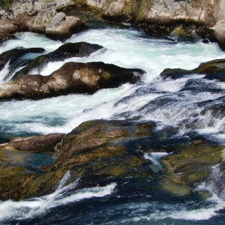 DSCN0615-2