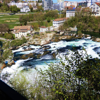 DSCN0617-3