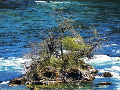 DSCN0623-3.jpg