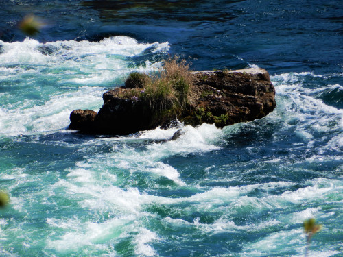 DSCN0625-2.jpg