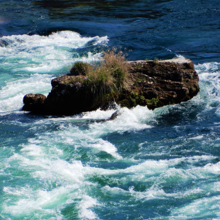 DSCN0625-2