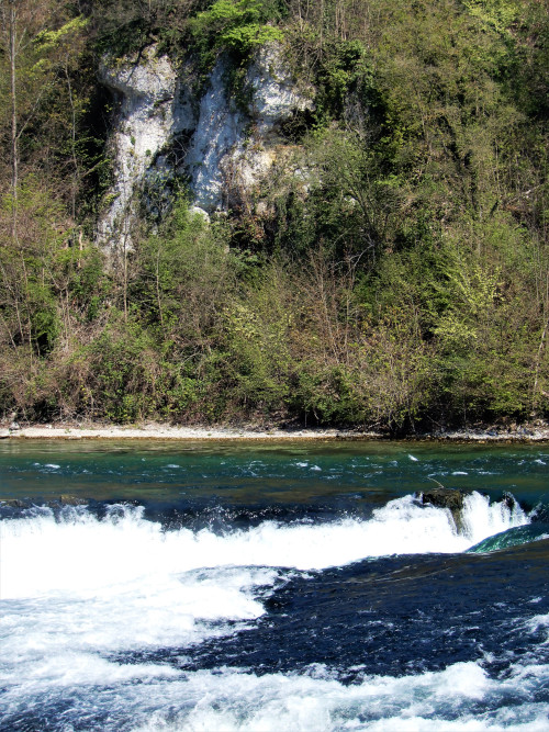DSCN0642-2.jpg