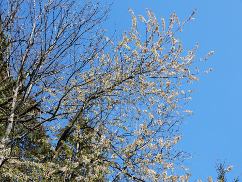 DSCN0877-2.jpg
