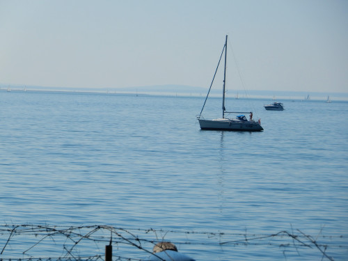 DSCN0887-2.jpg