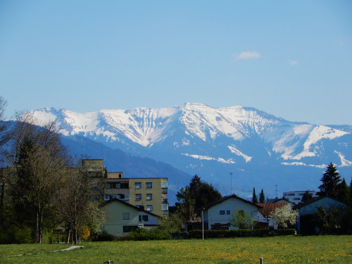 DSCN0894-2.jpg