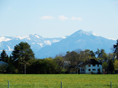 DSCN0895-2.jpg