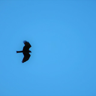 DSCN1007-2