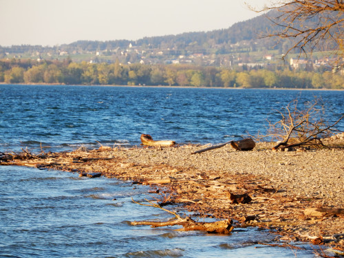DSCN1040-2.jpg