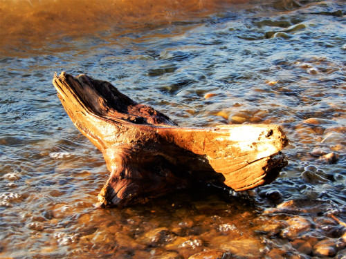 DSCN1066-2.jpg