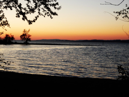 DSCN1090-3.jpg