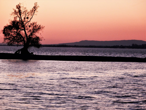 DSCN1091-3.jpg